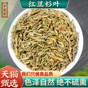 红豆杉叶中药材500克g红豆杉叶子天然干货百年含紫彬醇中草药包邮