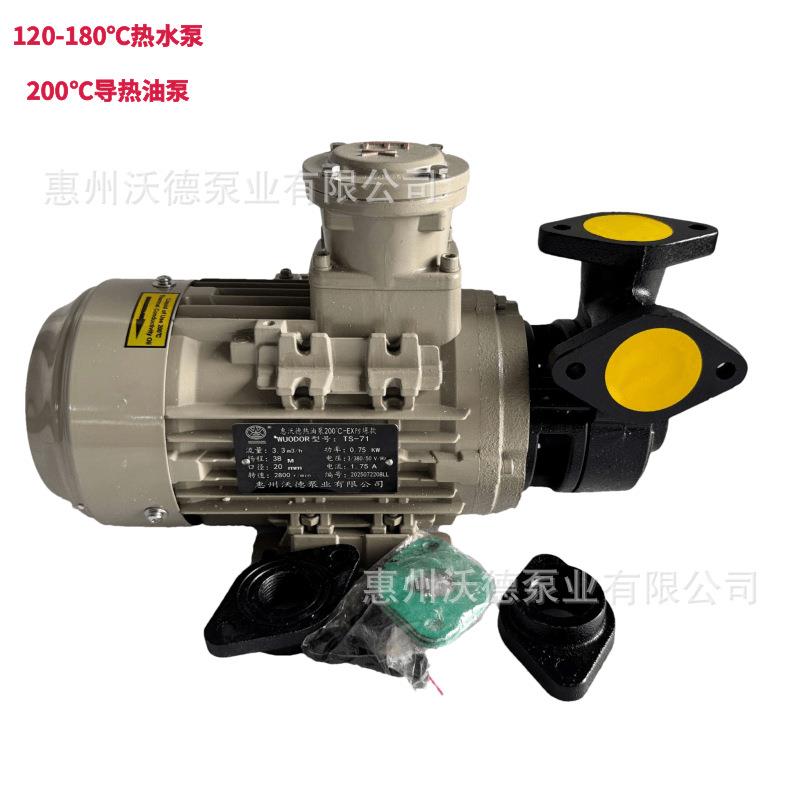 TS-71EX防爆款电动热油泵0.75kw导热油循环漩涡管道离心泵