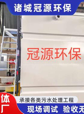 纸厂食品清洗养殖污水处理设备姜加工MBR膜一体化废水处理装置