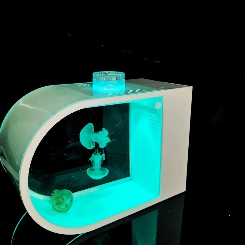 桌面水母缸迷你专业生态缸活物活体养殖小型桌面专用观赏鱼水族箱