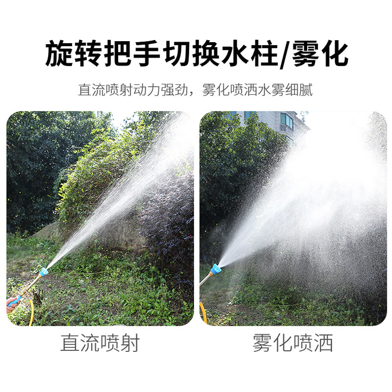 手提款四核泵电动喷雾器抽水泵打果树双核大功率农用智能高压双泵