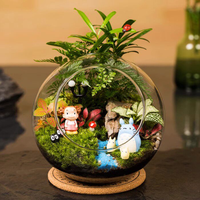苔藓微景观迷你植物生态瓶DIY植物新年礼物玻璃小植物办公桌绿植
