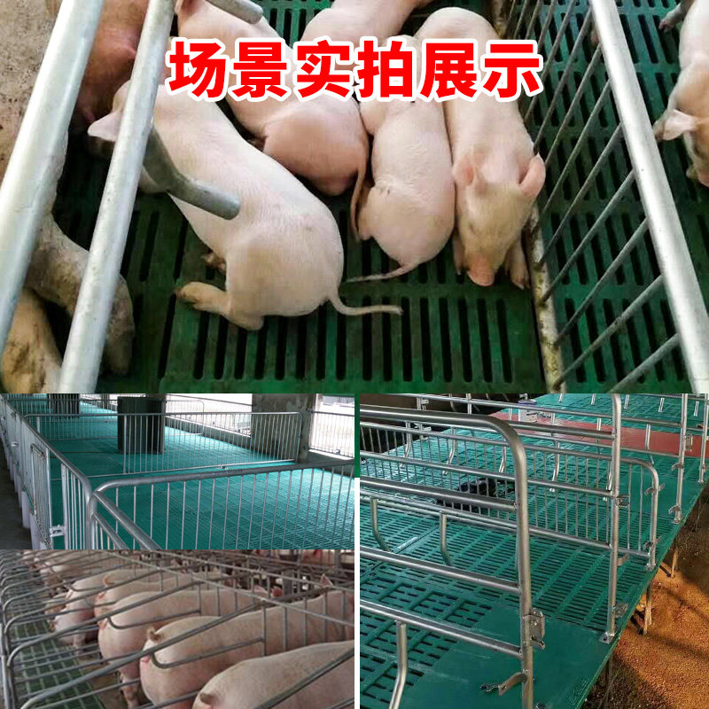 漏粪板猪用母猪产床保育大肥猪接粪板羊场养羊用的复合漏屎板羊床