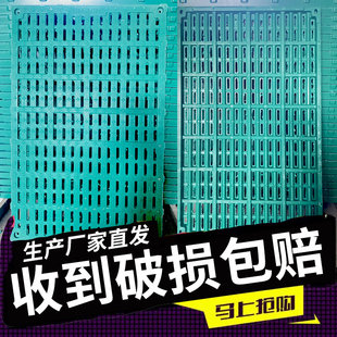 复合漏粪板大猪用钢筋防滑树脂板羊狗母猪产床限位栏仔猪保育床板