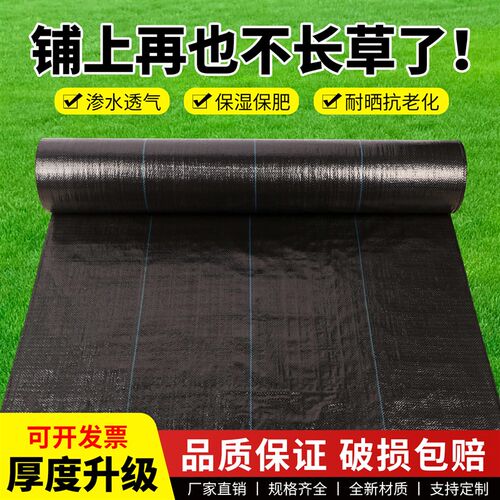 防草布除草布耐用地钉新型地布果树专用厂家直销农用打孔PE