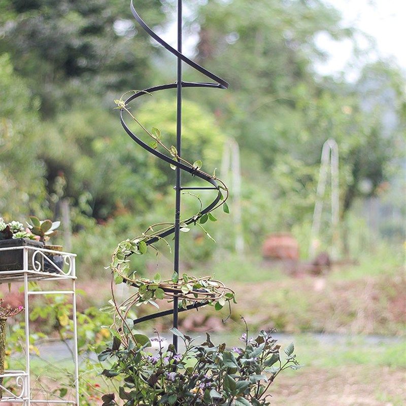 外贸铁艺螺旋型植物爬藤架铁线莲风车茉莉花架植物造型支架包邮