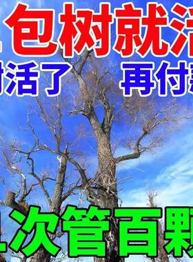 死树3年三滴救活 大树银杏树成活营养液枯树烂根黄叶烂苗复活液剂