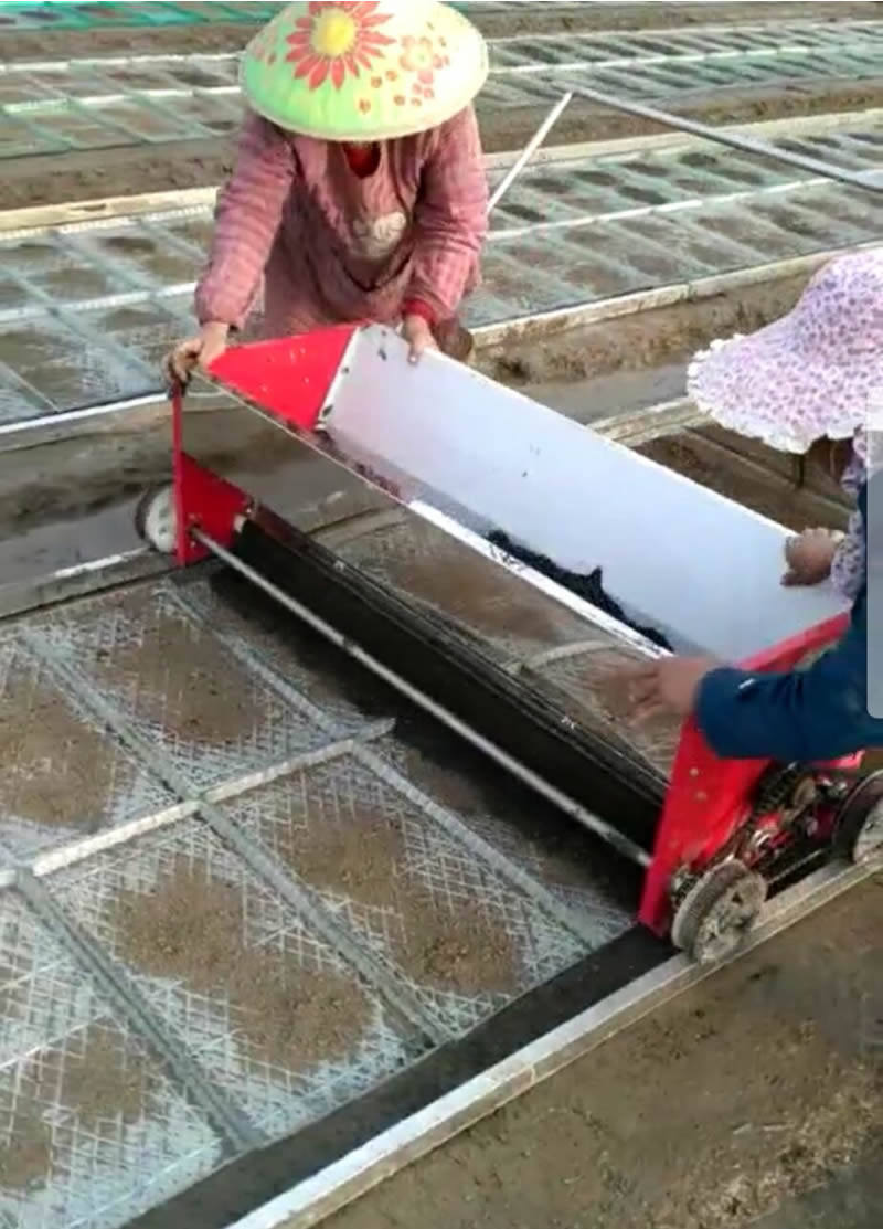 水稻播种机插秧机育秧器覆土秧田器蔬菜育苗机水田育秧机秧盘大棚