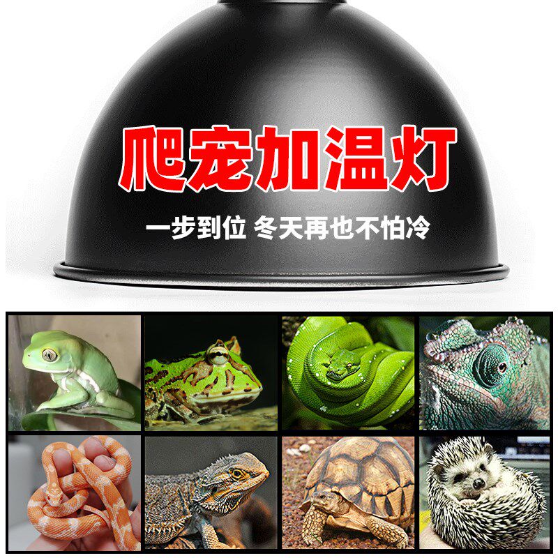 爬宠太阳灯uva加热乌龟晒背灯睫角守宫鬃狮蜥蜴角蛙树蛙吧保暖灯