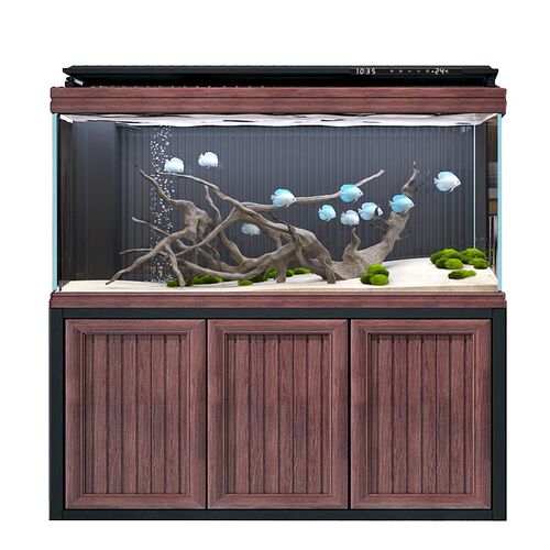 鱼缸水族箱客厅落地大型家用超白玻璃底滤生态免换水过滤屏风隔断