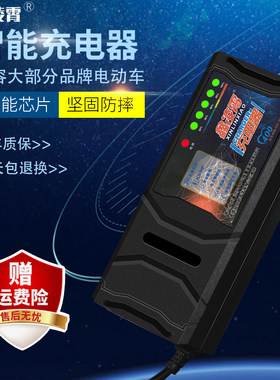 依莱达自动关机智能电动车电瓶充电器48V12AH60V20AH72V30A通用款