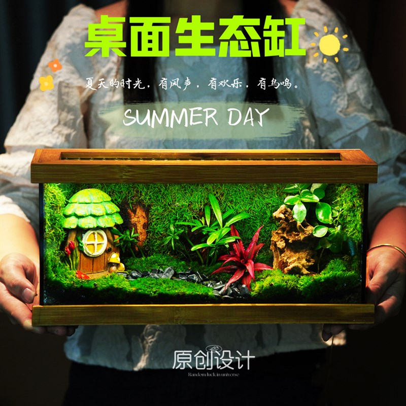桌面生态缸迷你绿植室内盆栽生态瓶苔藓微景观装饰摆件送礼景观