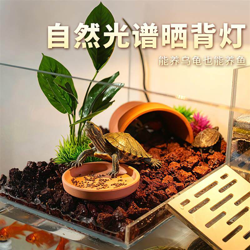 乌龟饲养混养生态龟缸金鱼家庭两用鱼缸客厅造景小型缸水陆两栖缸