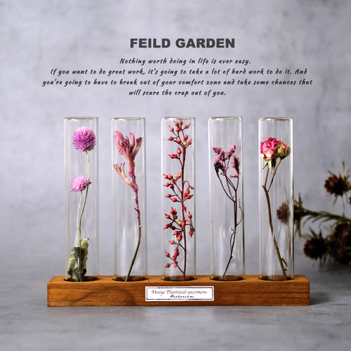 玻璃试管植物标本花卉昆虫树叶干枝真花桌面装饰摆件复古创意礼物