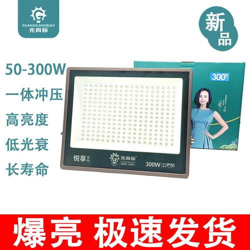 led户外投光灯防水超亮大功率工地射灯100W200W广告庭院灯