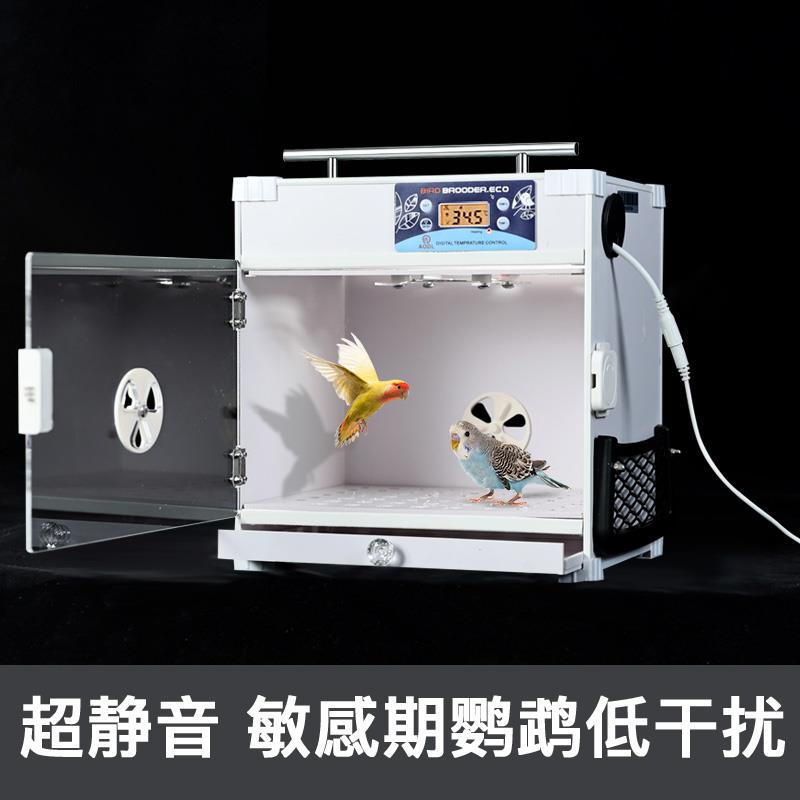 鹦鹉可携式保温箱鹦鹉专用恒温育雏箱牡丹鹦鹉家用智能宠物保温箱