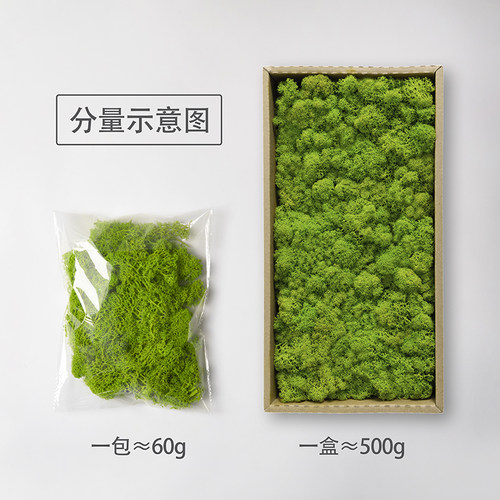 永生苔藓墙仿真植物墙室内形象背景墙装饰绿植鹿蕊鹿芯diy无杂质