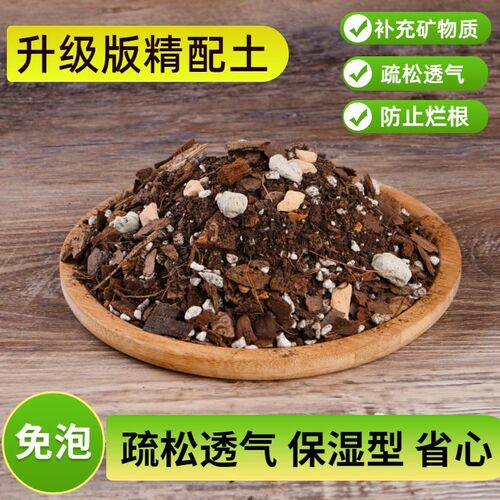 兰花土专用文心兰营养土香雪兰君子兰蕙兰大将军建兰草质料种植土