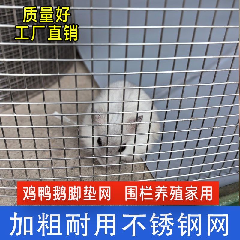 304不锈钢电焊网适用于农用防逃与养殖防鸟钢丝网筛可客制尺寸