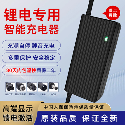 锂电池充电器36V2A电动滑板折叠车24V48V42V3A5A割草机采茶机快充