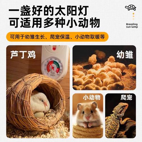 小鸡育雏保温灯芦丁鸡加热灯养殖场专用小太阳加温保暖灯取暖灯泡