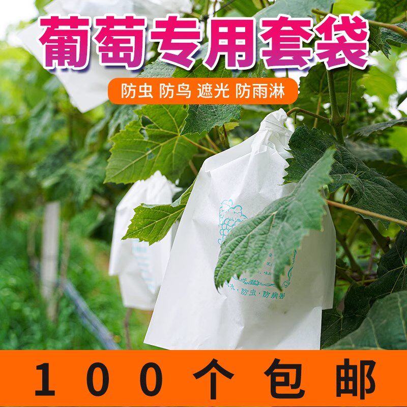 葡萄套袋专用袋防虫葡萄套育袋葡纸袋葡萄袋果袋袋子防水萄专用的