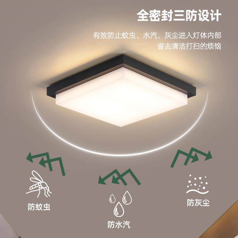 超薄户外吸顶灯防虫门厅进户灯走廊过道阳台别墅屋檐室外露台顶灯