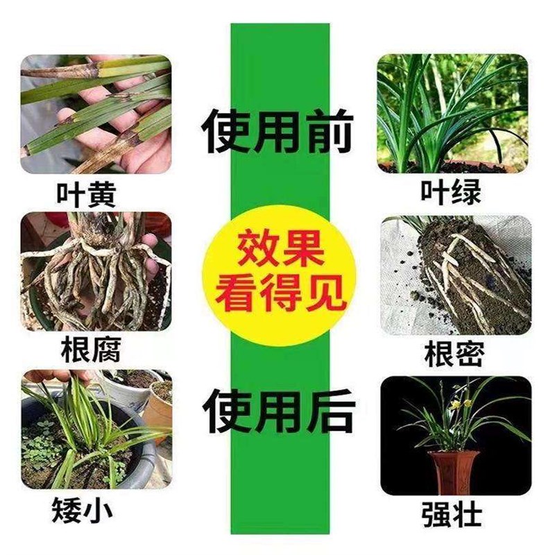 花病康喷剂多菌灵消杀剂花卉植物黄叶菌立清炭疽病黑斑病百菌灵