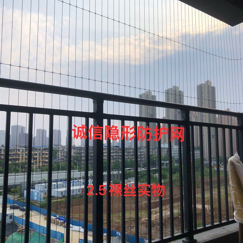 湖北地区武汉隐形防护网台儿童学生猫狗宠物阳台连廊窗户防盗网