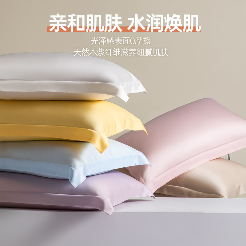 夏季高端200支天丝枕套一对装48x74cm冰丝家用夏天真丝凉感枕头套