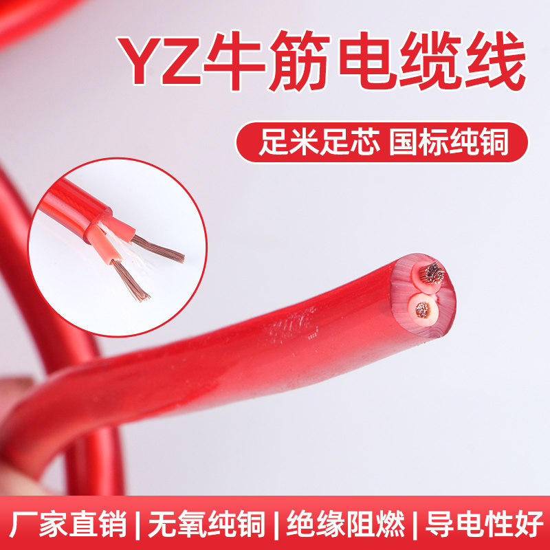 户外工作三芯电源线插排线2芯2.5平方4方 纯铜防冻防水牛筋电缆线