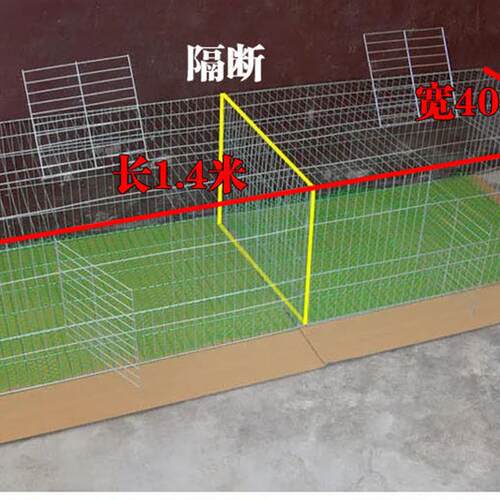 鸽笼子家用养殖小鸡笼铁丝网加密鹌鹑笼养殖芦丁鸡笼大号隔断笼子