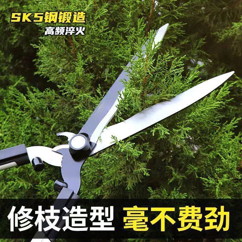 园艺剪刀草坪剪SK5省力篱笆剪伸缩长柄园林果树高枝绿篱剪修枝剪图片
