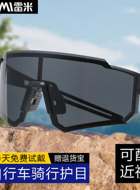偏光护目镜男士骑行挡风遮阳太阳眼镜防尘防风沙防紫外线防护墨镜