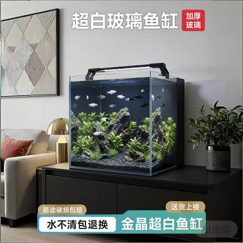 客厅小型鱼缸家用免换水金鱼缸净水循环三合一超白玻璃背滤桌面缸