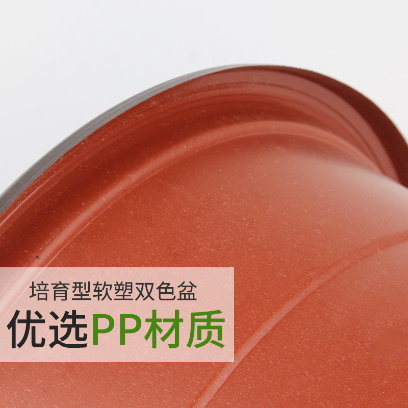 双色盆育苗盆加厚一次性简易花盆塑料大号多肉扦插盆营养杯育苗杯