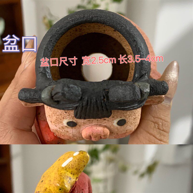 【炻陶猪新年款】陶瓷多肉花盆可爱卡通小猪猪粗陶绿植pp肉锥