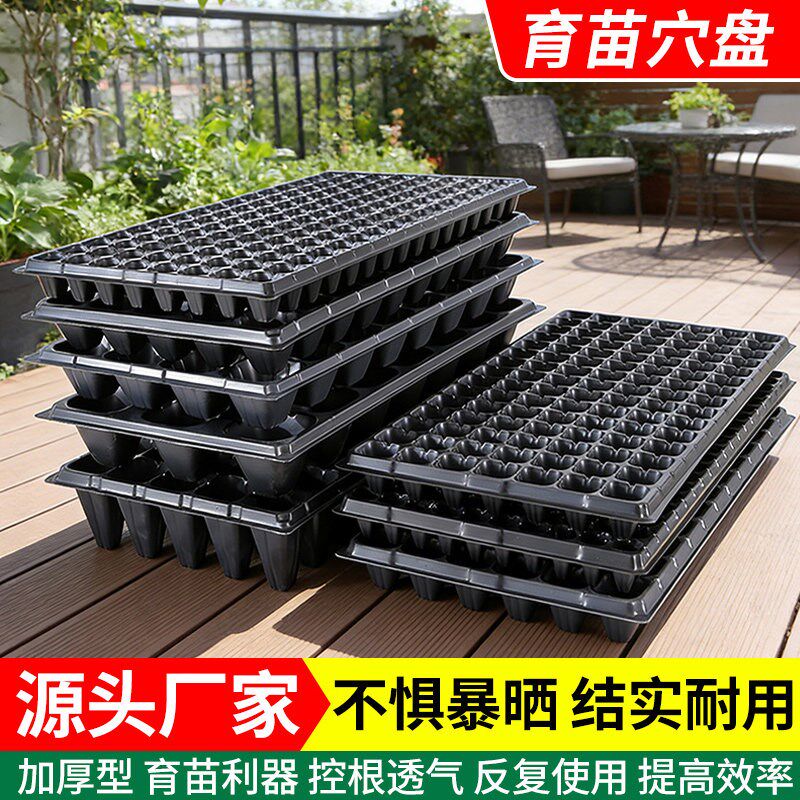 育苗盘穴盘育苗盒营养钵蔬菜育苗盆塑料杯育苗器苗木多肉托盘盆