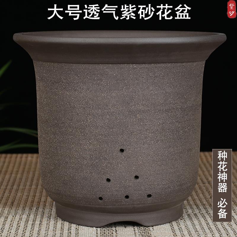 宜兴紫砂花盆兰花盆君子兰虎皮兰海棠花盆通用透气盆粗陶花盆大号
