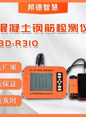 混凝土钢筋检测仪BD-R310 钢筋扫描仪 混凝土钢筋位置测定仪