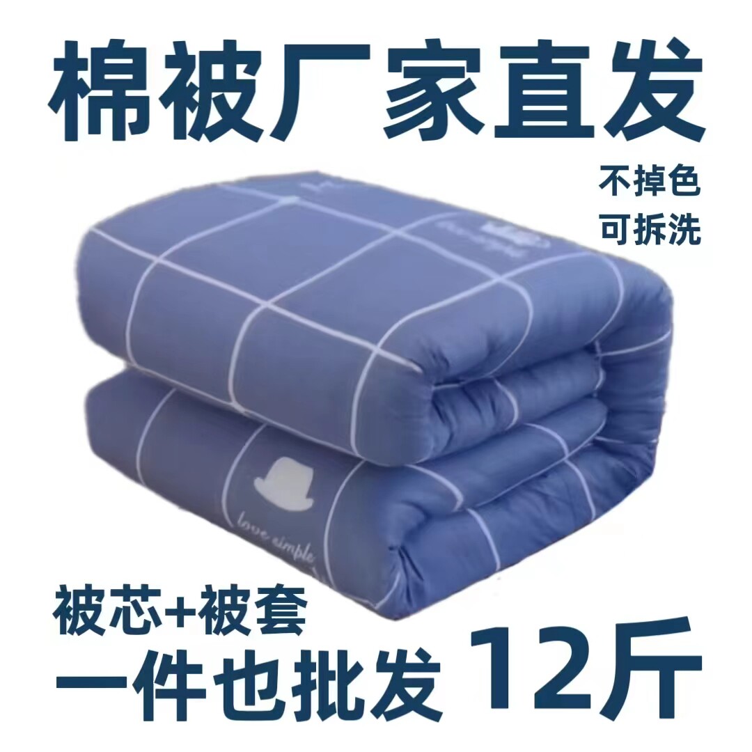 棉被厂家直发加厚保暖棉被可拆洗四季通用学生宿舍被子被芯
