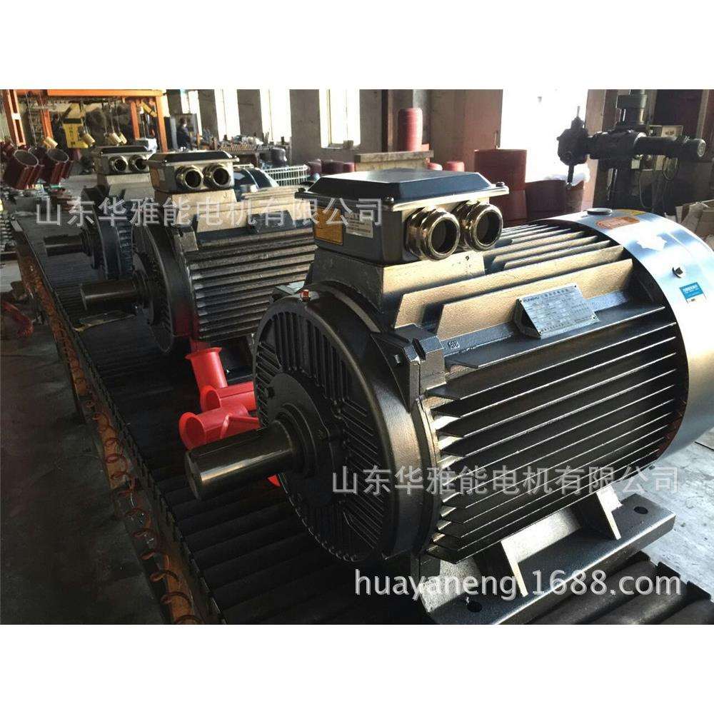 YE2-90L-6-1.1电机配防雨罩V1安装YE2电机轴头带机械密封特制法兰