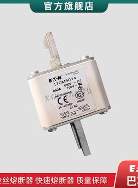 170M5013 5014 5015 5016 5017 5018 巴斯曼bussmann快速熔断器
