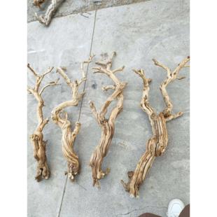 枯木树枝爬宠造景木霸王藤木蜥蜴睫角蛇攀爬造型树桩