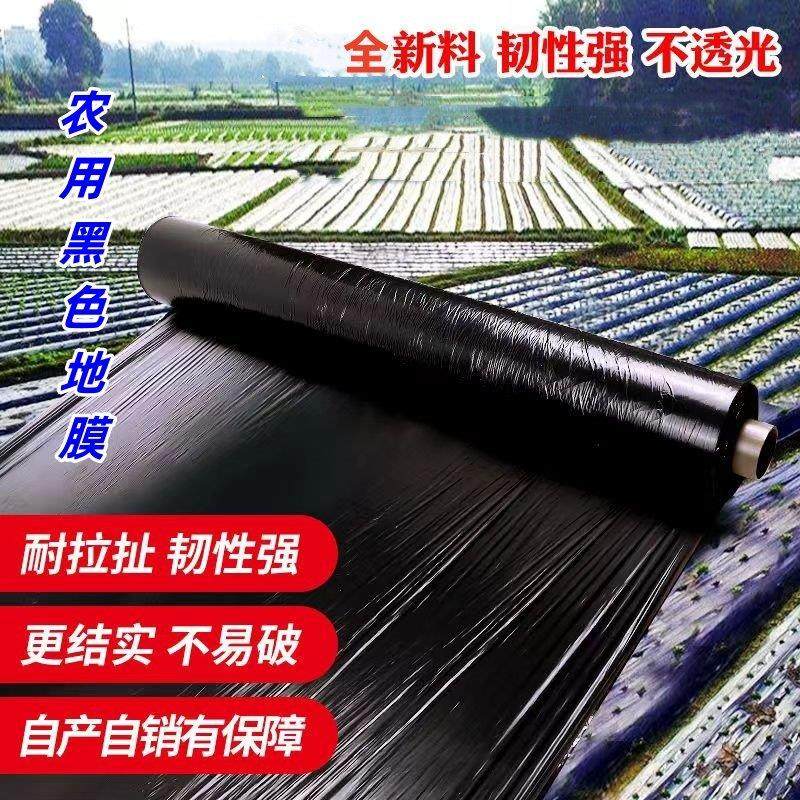 黑色地膜农用种植菜园保湿保温防长草农田果树除草抗老化塑料薄膜,农机/农具/农膜,农用薄膜,淘宝优惠券,粉丝福利购,淘宝优惠卷