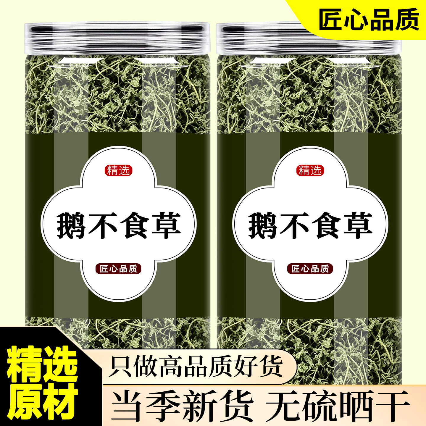 鹅不食草中药材正品500g新鲜鹅不食草干草旗舰店鹅不食草粉泡茶水