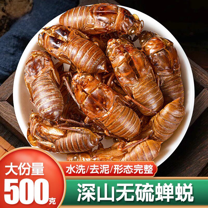 蝉蜕中药材旗舰店500g蝉脱中药知了猴壳蝉退皮蝉衣野生蝉蜕的功效