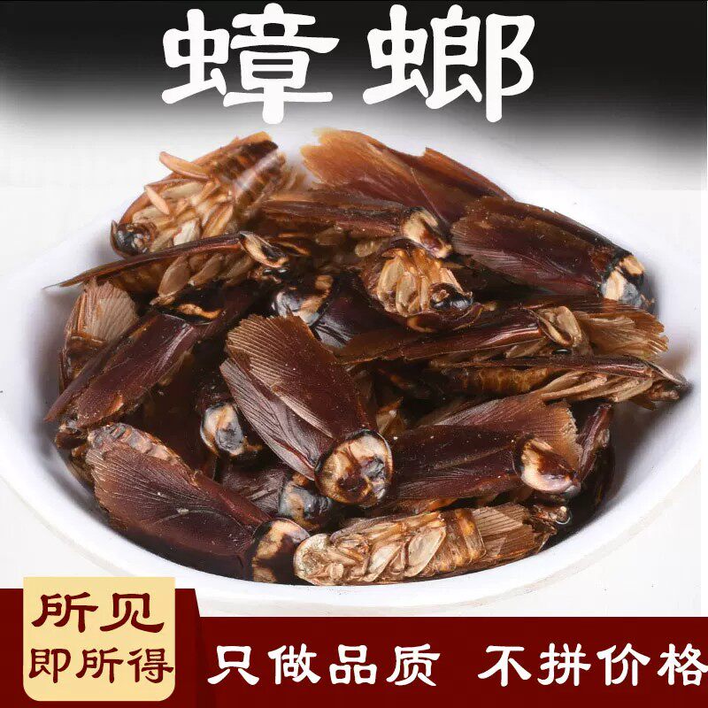蟑螂中药材500克蟑螂干美洲大蠊粉蟑螂蟑螂虫干 蟑螂粉包邮