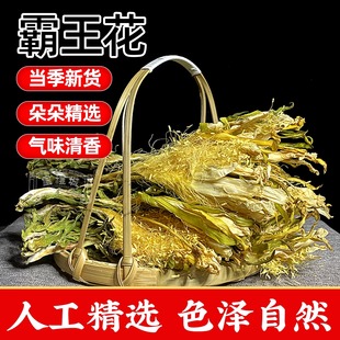 霸王花新鲜干花无硫农家自种大朵无沙龙骨七星剑花鸡汤广东煲汤料