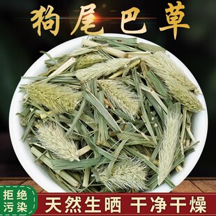 新货狗尾巴草中药材500克狗尾草干草毛虫草谷莠子九尾草泡水